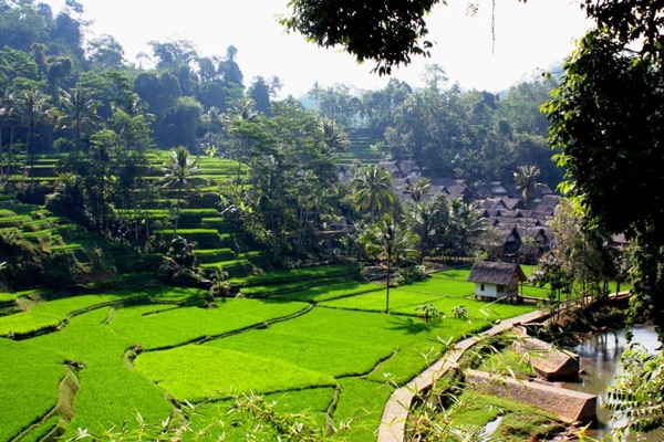 vespisti in indonesia